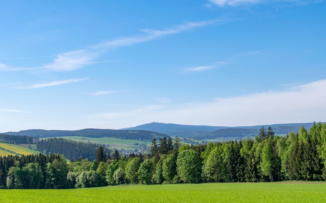 Bündnis C – Tour durch Sachsen